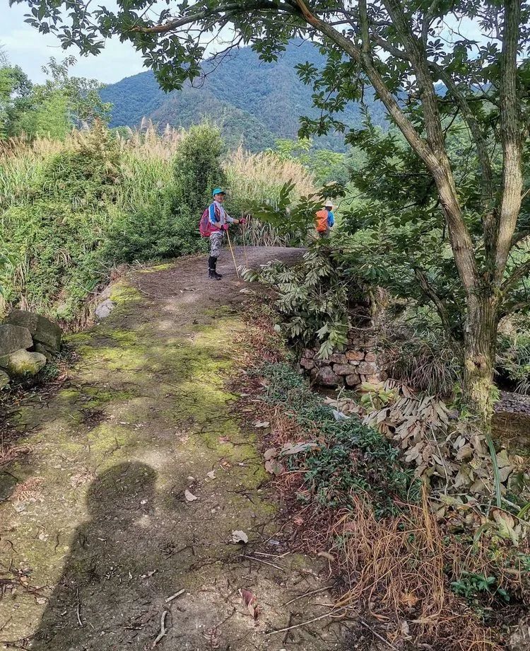 Climb Misielang, the highest peak in Taizhou, Daleishan, the highest peak in Tiantai County