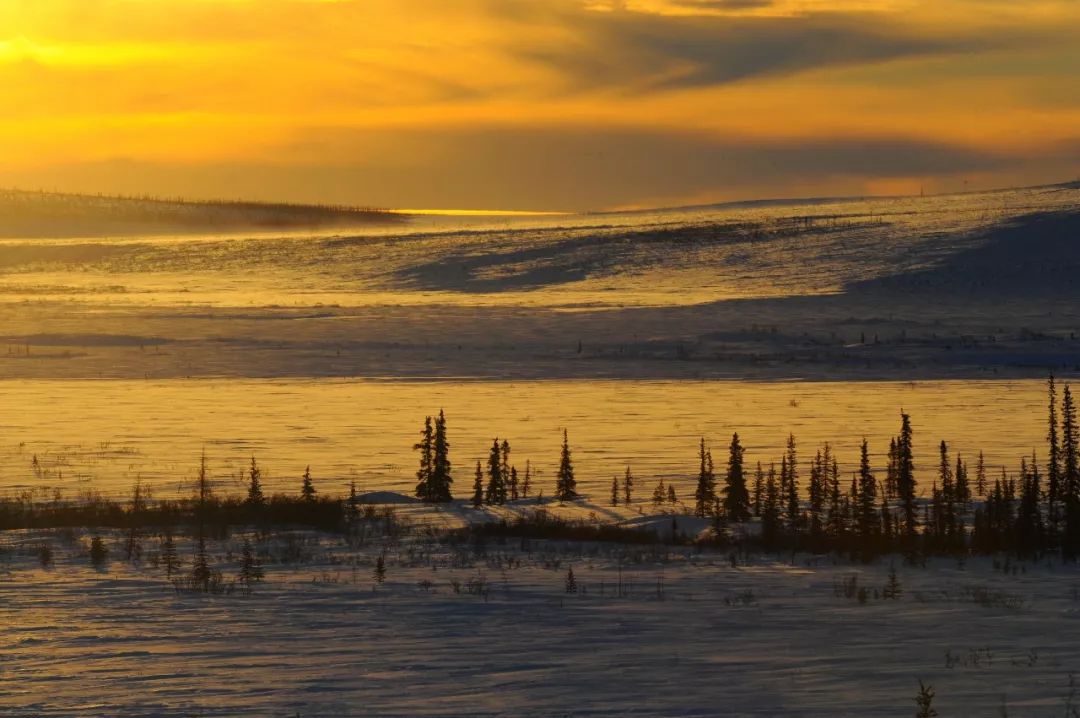 Travel Notes | The Far North—Alaska (1)—Anchorage