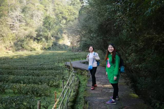 Travel Notes | A quick trip to Wuyi Mountain
