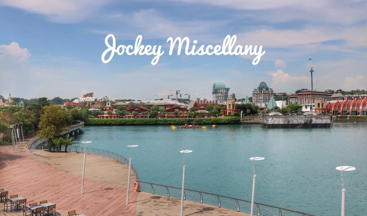 Singapore Travel Notes | Merlion, Gardens and Sailing Boats (2)
