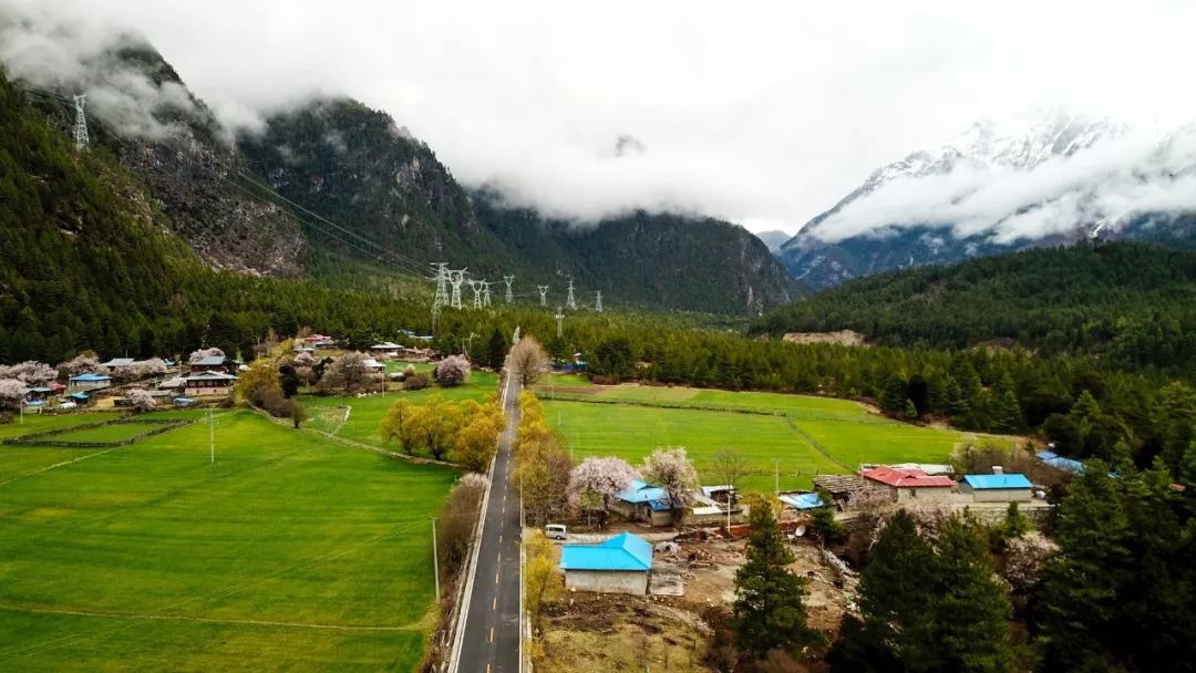 Tibet Travel Notes | Linzhi surrounded by clouds and mountains