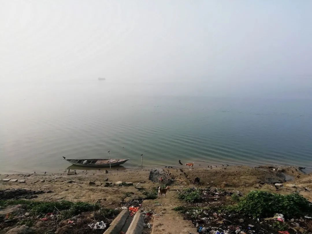 Four-country trip to the Philippines, Brunei, Bangladesh and Myanmar (12) Ganges Delta