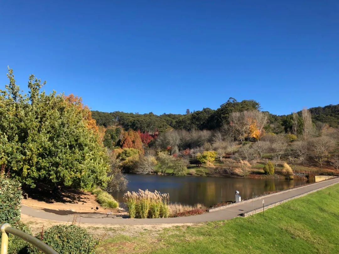 Travel Notes | Adlovty Hills Botanic Garden