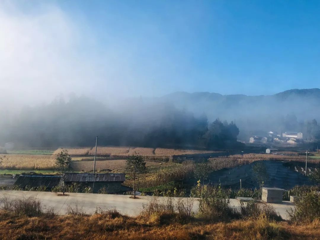 Yunnan Travel Notes: How to eat hawthorn with chili pepper?