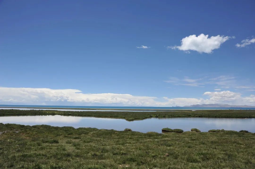 Tinglan said│There is a kind of blue called Tibetan blue