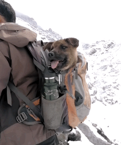 Thank you for taking photos of 70 glaciers in 7 years. Goodbye "Tibetan Adventure King"