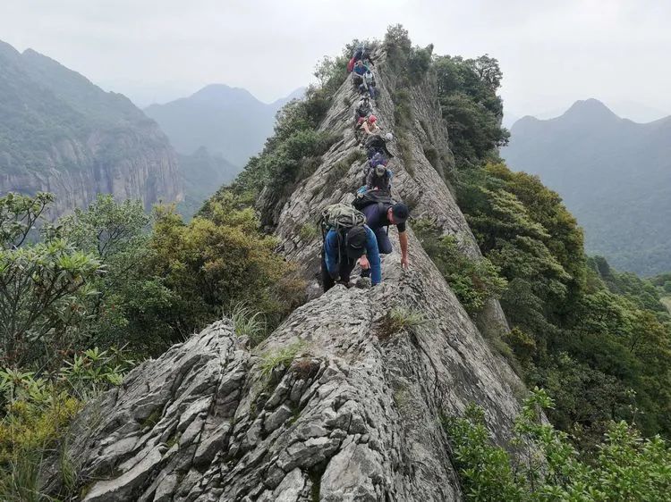 Outdoor Travel Notes | Yandang April (net name One Wulao One Lingfeng)