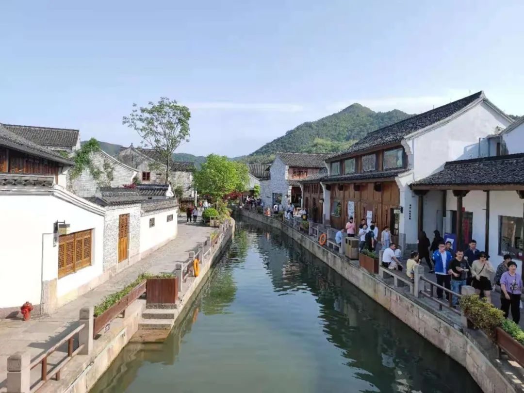 Travel Notes: In late spring in March, grass grows in the south of the Yangtze River, there are scattered peanut trees, and flocks of orioles fly around.
