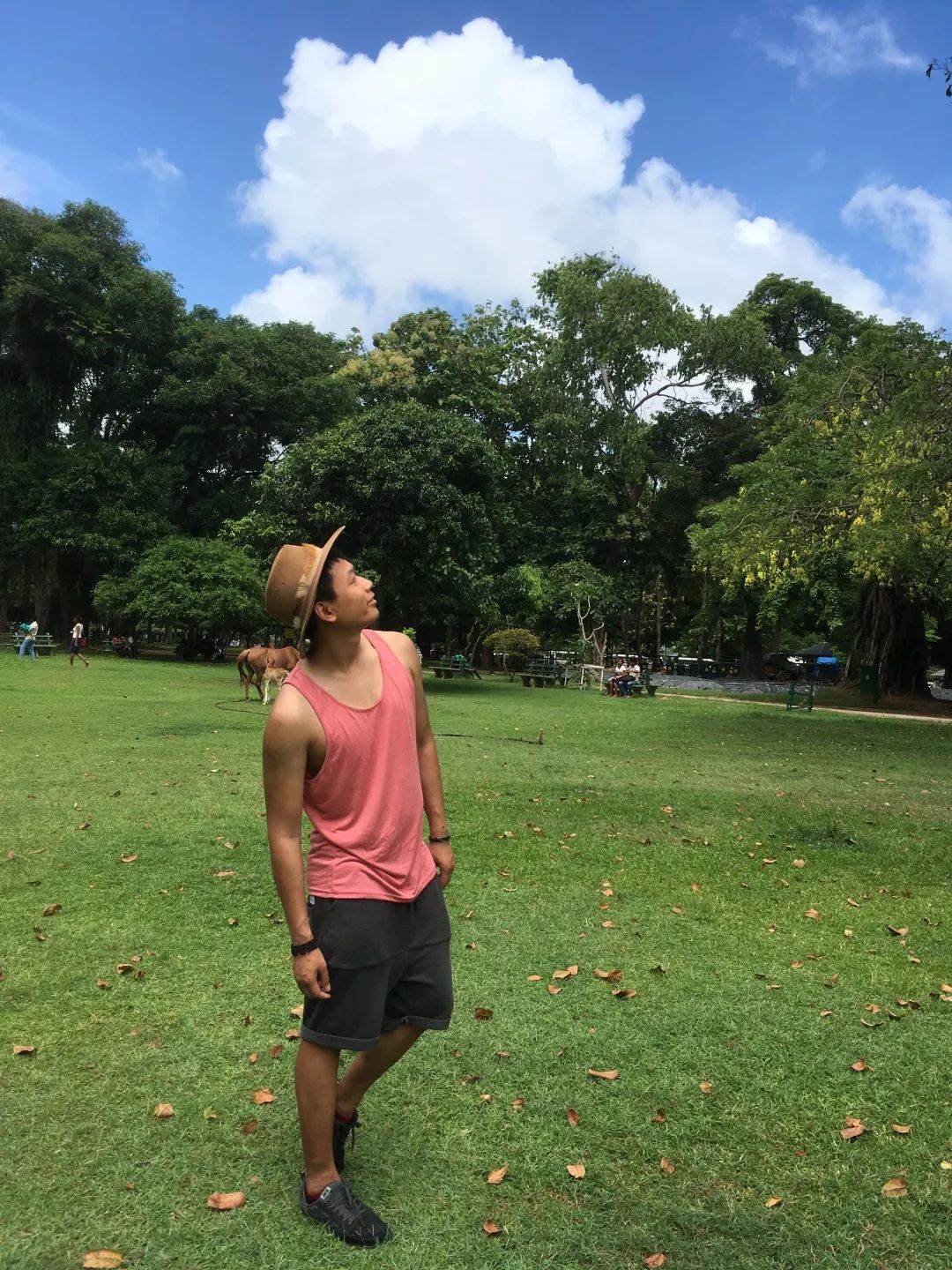 Memoirs of the Three Kingdoms: Sri Lanka (1) | Don’t touch that monkey