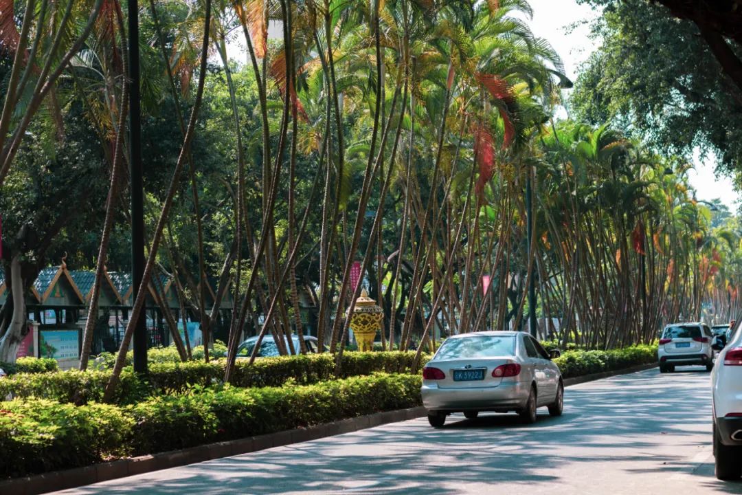 Travel Notes on Xishuangbanna | Tropical style, Nanzhao resort, and the borderland where dreams come true