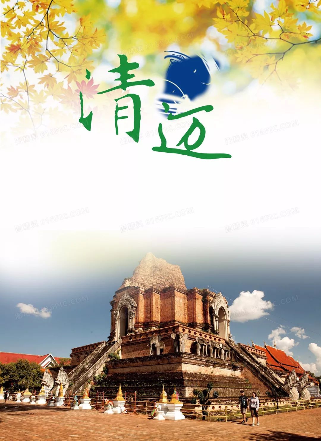 Free Travel in Thailand - Encountering the Roses of Northern Thailand Again
