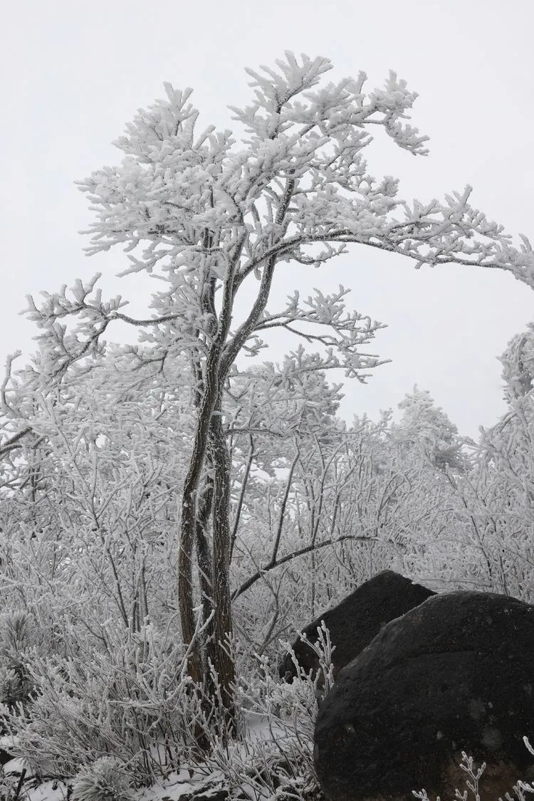 The first snow of 2020 - Daidera Moto