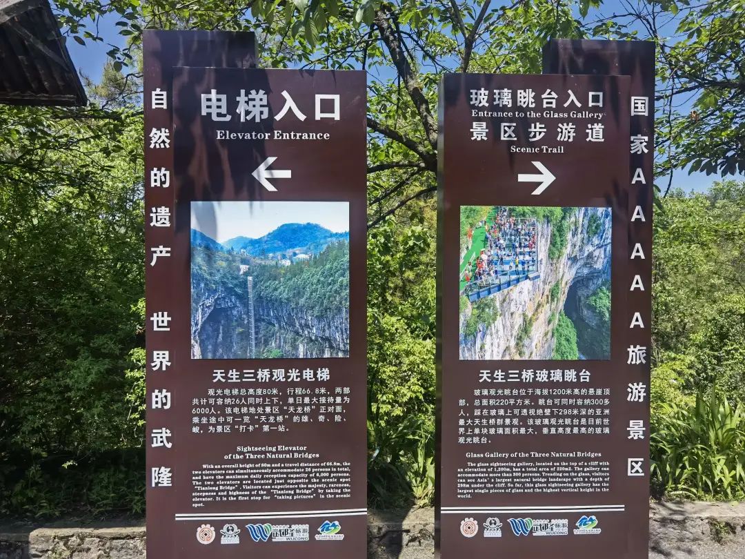 A complete guide to traveling to Chongqing with children for 7 days and 6 nights, Day 4 Wulong Tiankeng + Ground Cracks One-day Tour