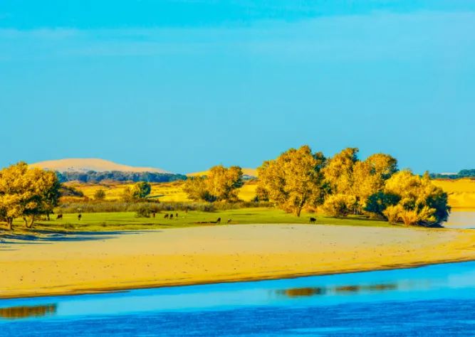 Top 6 best autumn viewing spots in China, the first one is the most popular!