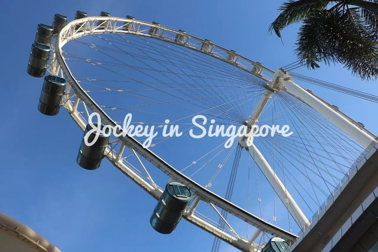 Singapore Travel Notes | Merlion, Gardens and Sailing Boats (3)