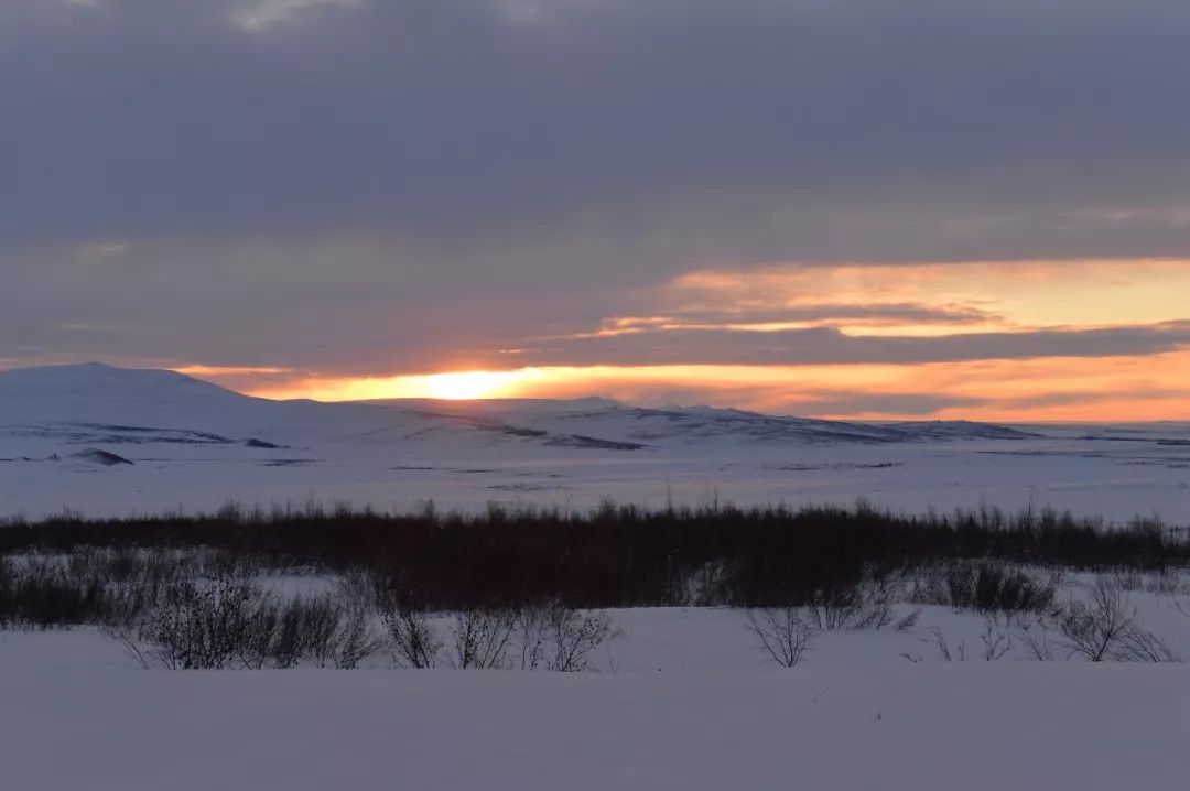 Travel Notes|The Northernmost North—Alaska (6)—Childhood Memories