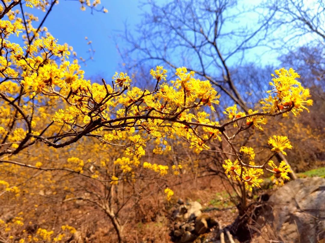Hike to the Yunji Temple at the top of Zhongnan Yunji Mountain, and cross the Yunji Ancient Temple at the top of Sanqiaoyu Valley in an O-shape