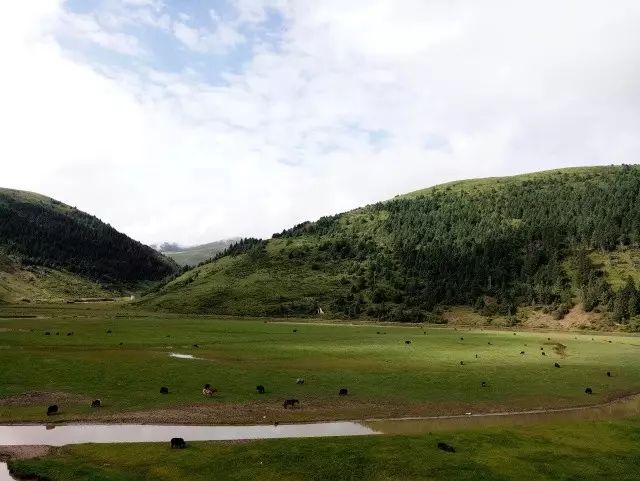 Grand Ring Tour of Western Sichuan | Day 4: China’s most beautiful countryside—Jiaju Tibetan Village