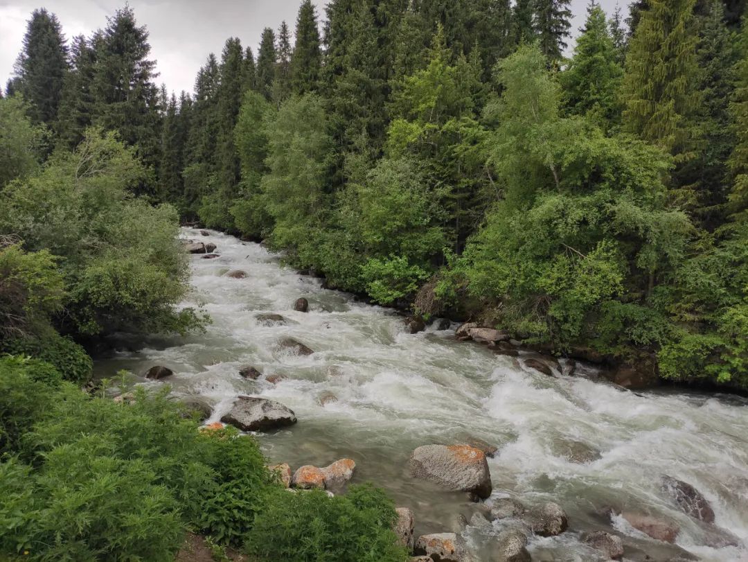 Xinjiang Yining Travel Notes - Qiongkushtai Chapter