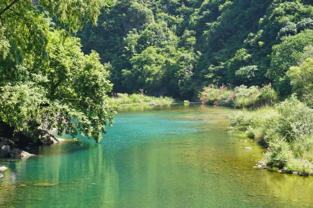 Next to Hou'an Village, where you can enjoy flowers all year round, there is a "Xiao Xikeng" known as "Jiangnan Xiaojiuzhai"
