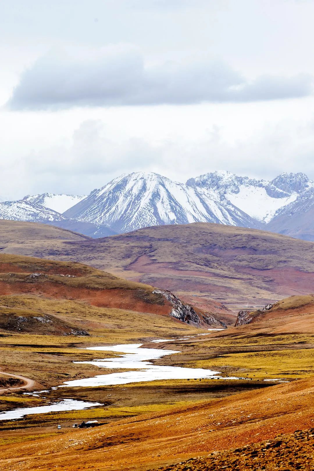 Qinghai, the land of wolves and songs