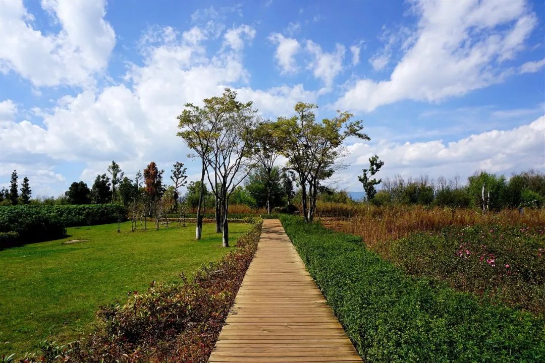 Walking through the wetlands of Dianchi Lake - Seven Tours around Dianchi Lake