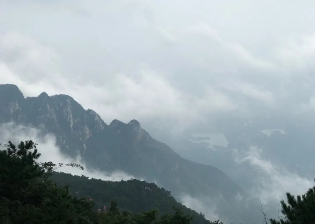 "Fog" Tour in Lushan - In-depth travel guide for parents and children