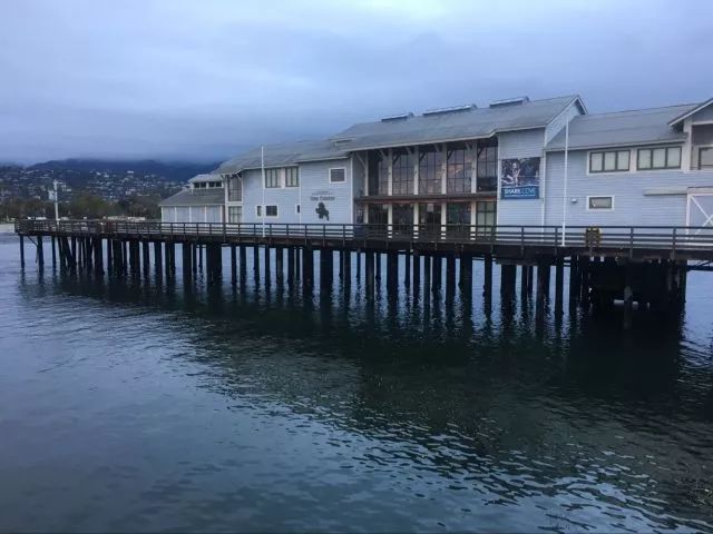 The beauty of solo travel heading west - driving from San Francisco to Los Angeles along Highway 1 and Highway 101: the scenery on the road