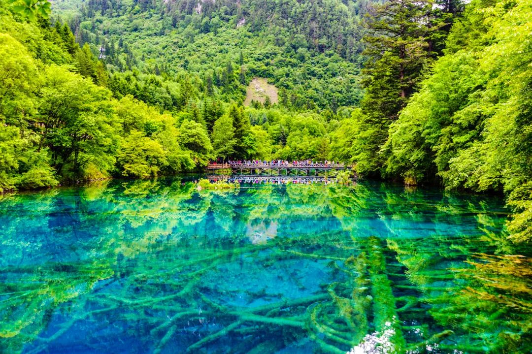 In addition to Litang, which was popularized by Ding Zhen, there is also a summer paradise in western Sichuan that is extremely beautiful!