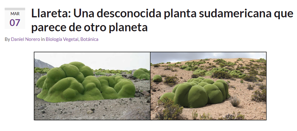 Nature｜"Alien creatures" in the Andes Mountains