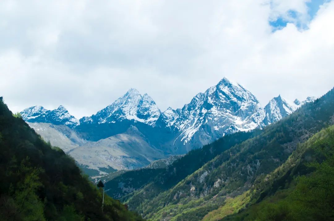 Travel Notes | The Siguniang Mountains I took photos of in those years: snow-capped mountains, meadows, and dead tree beaches