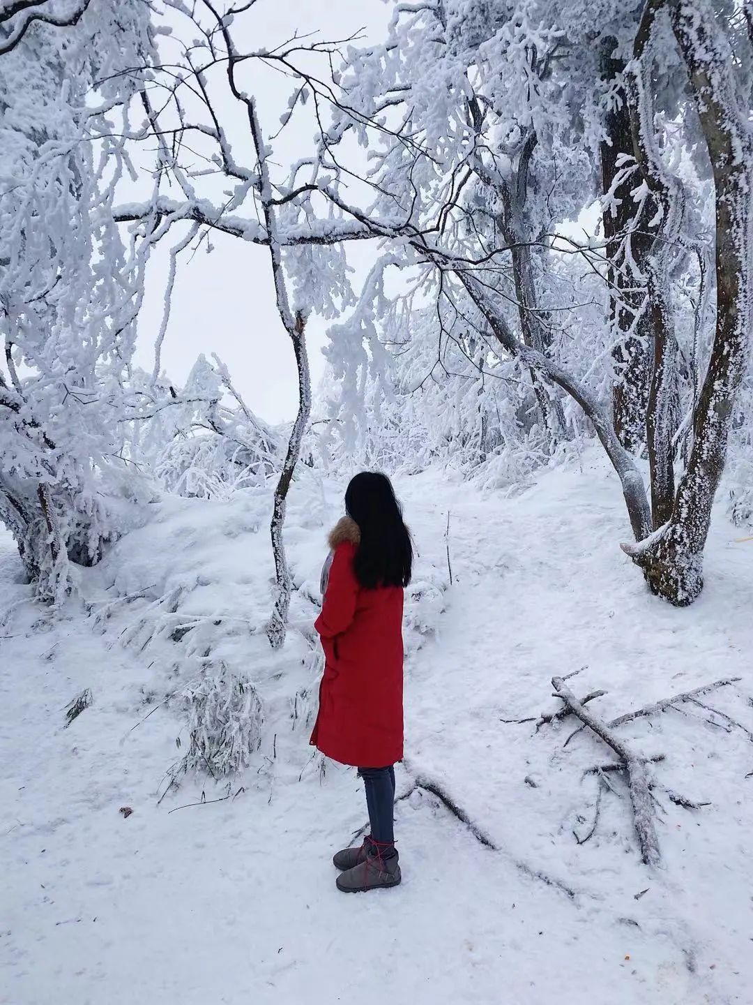 Travel Notes | Golden Summit in the Clouds and Emei in the World
