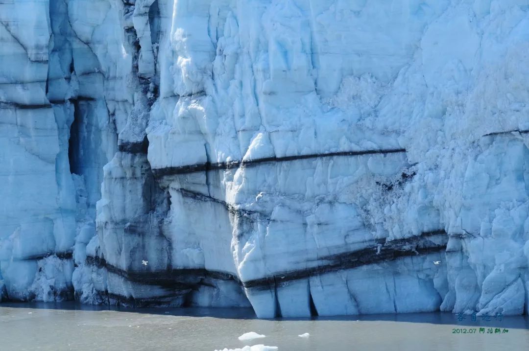 Travel Notes | The Northernmost North—Alaska (9)—Glacier Bay