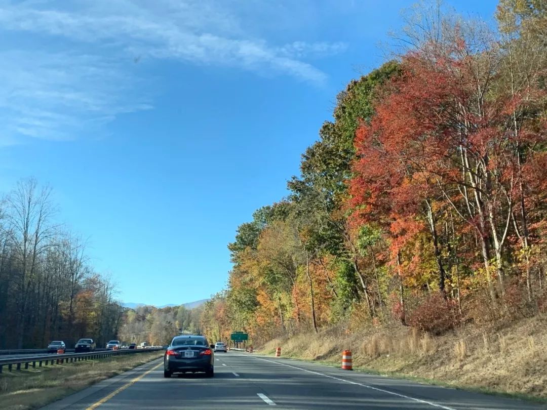 阿什维尔(Asheville),山中赏叶观瀑!