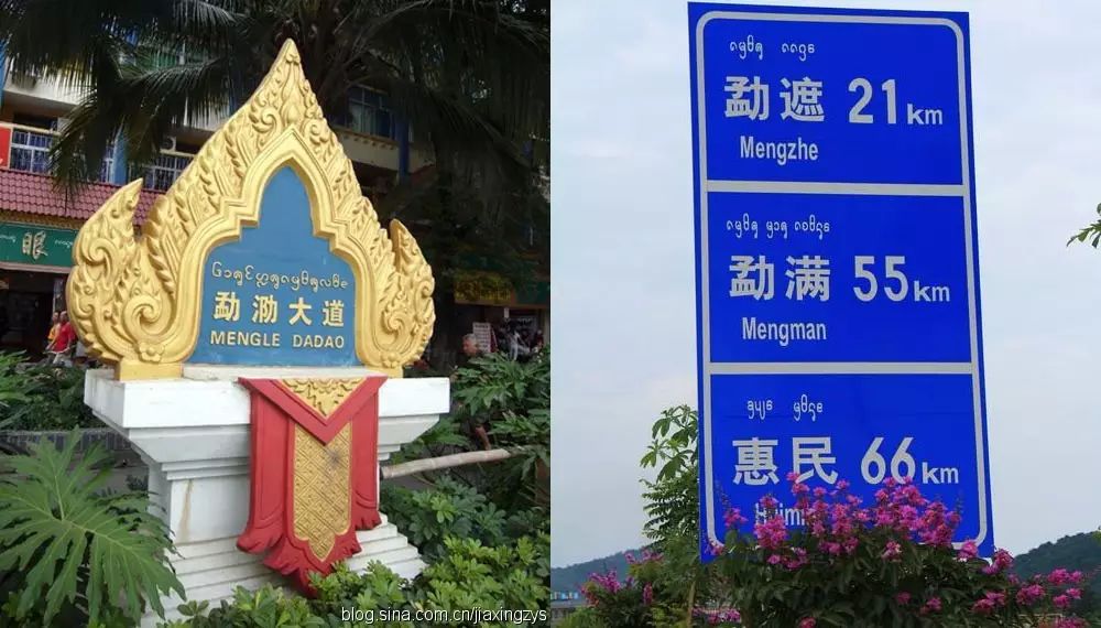 游记|西双版纳与热带雨林