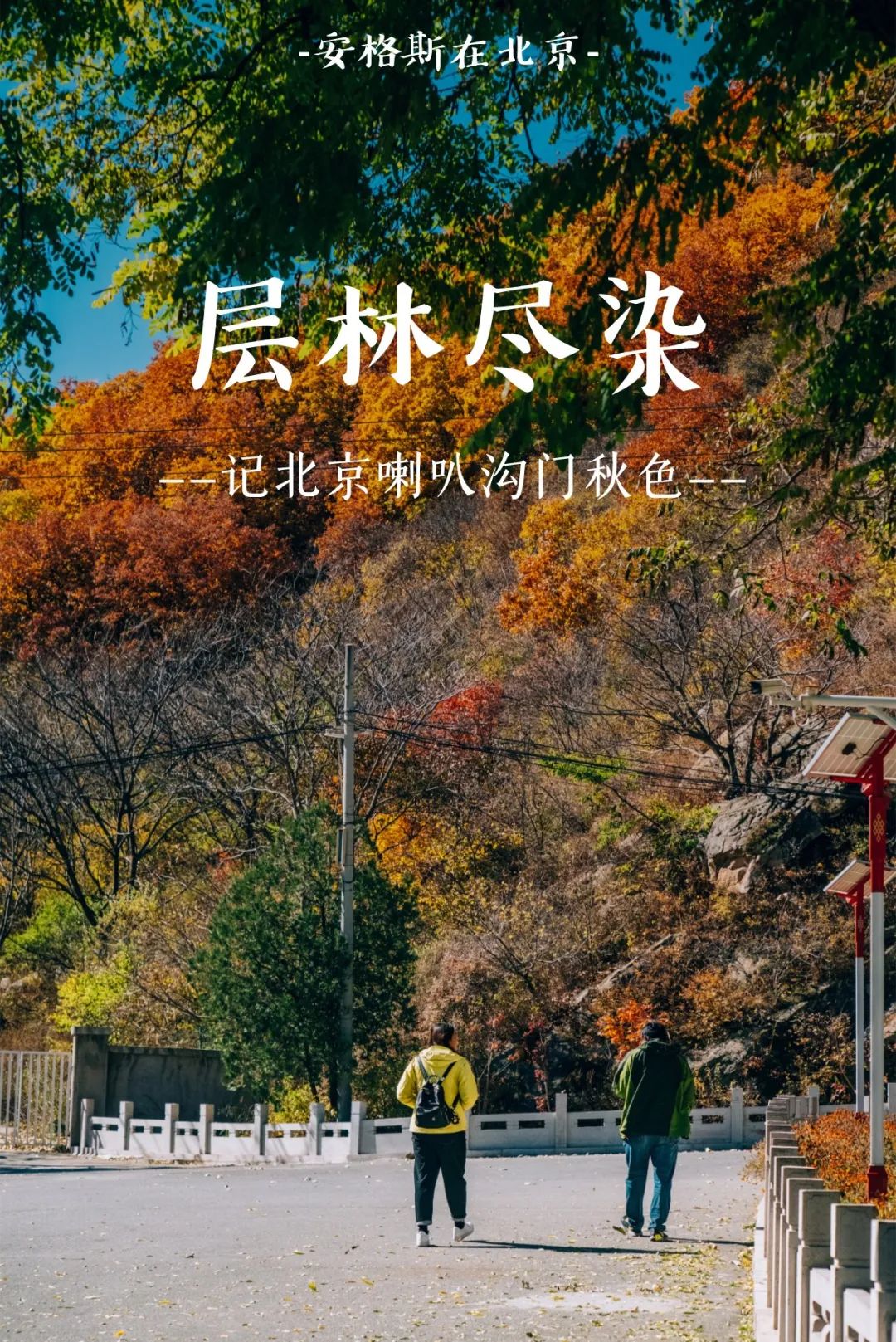 大家都在刷的喇叭沟门秋色到底怎样?实地考察照片请查收,一起来欣赏北京的秋!