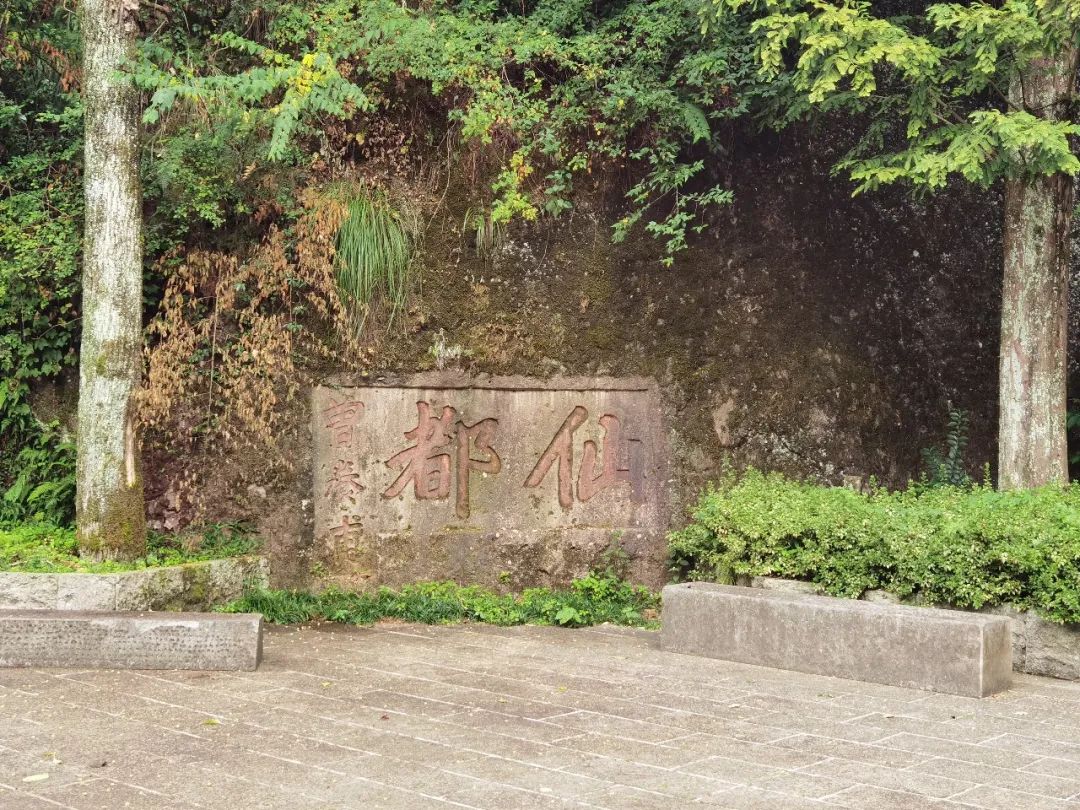 游记|佛系自驾青岛游记D2
