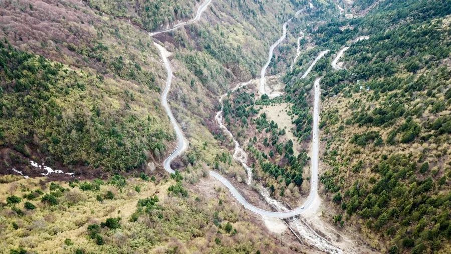Linzhi Travel Notes | Plateau soaked in peach color