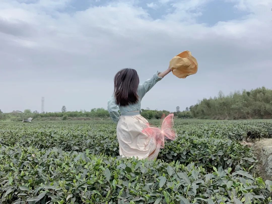 Meet another kind of life, a civilized village - Mingyue Village