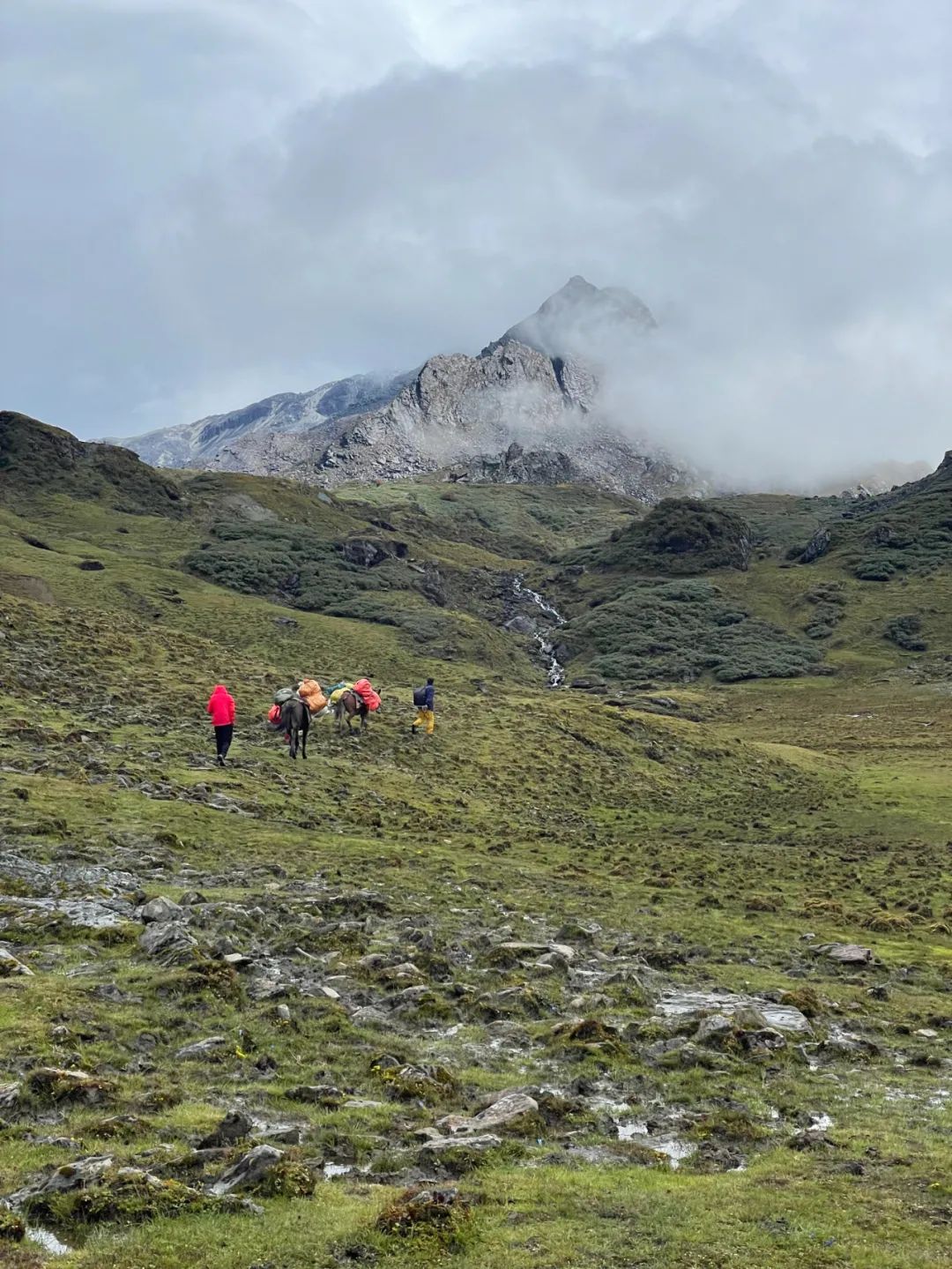 National Day Travel Notes | Climb Haba Snow Mountain and feel the happy time in the thin zone