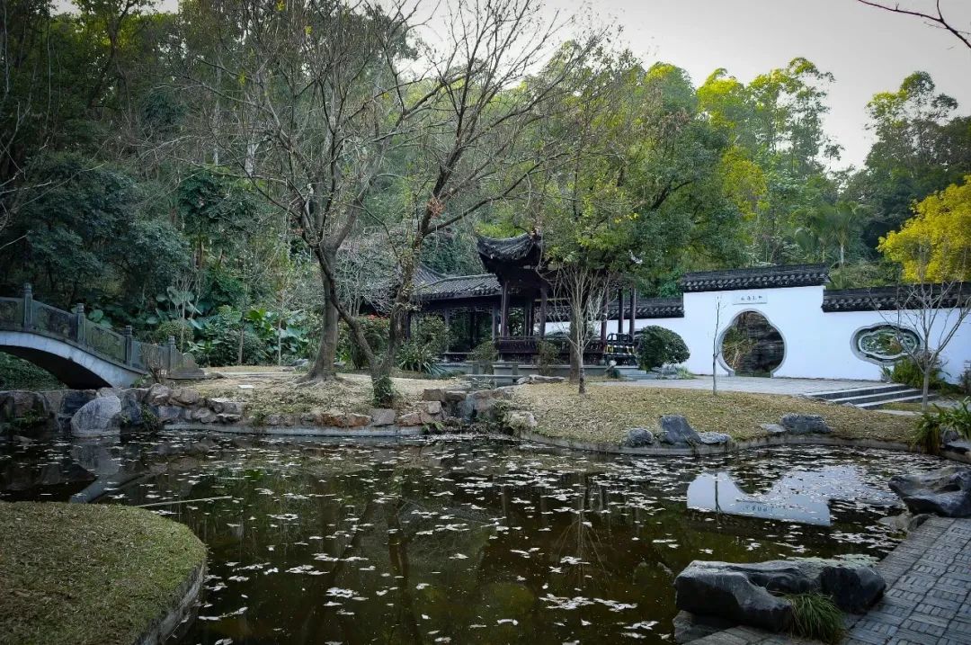 Travel Notes: Shenzhen International Garden and Flower Expo Park
