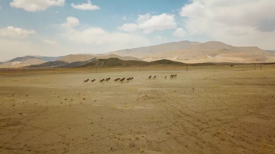 Tibet Travel Notes | Explore the border town of Tibetan Buddhism, Purang County