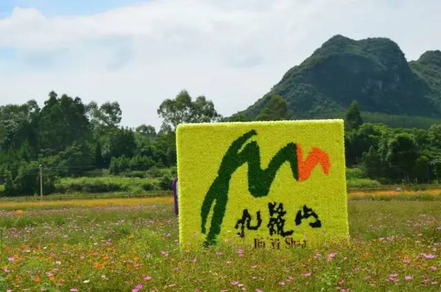 麻将故里,宁远下灌村