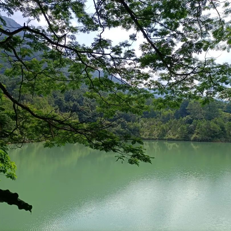 Travel Notes | Zengcheng, Baishui Village