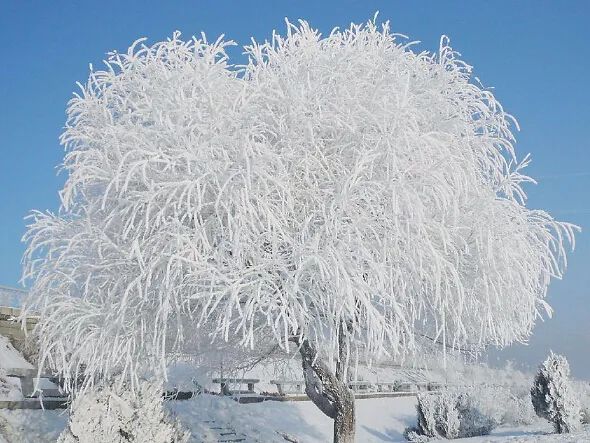 Yushu Qionghua - Jilin rime wonders