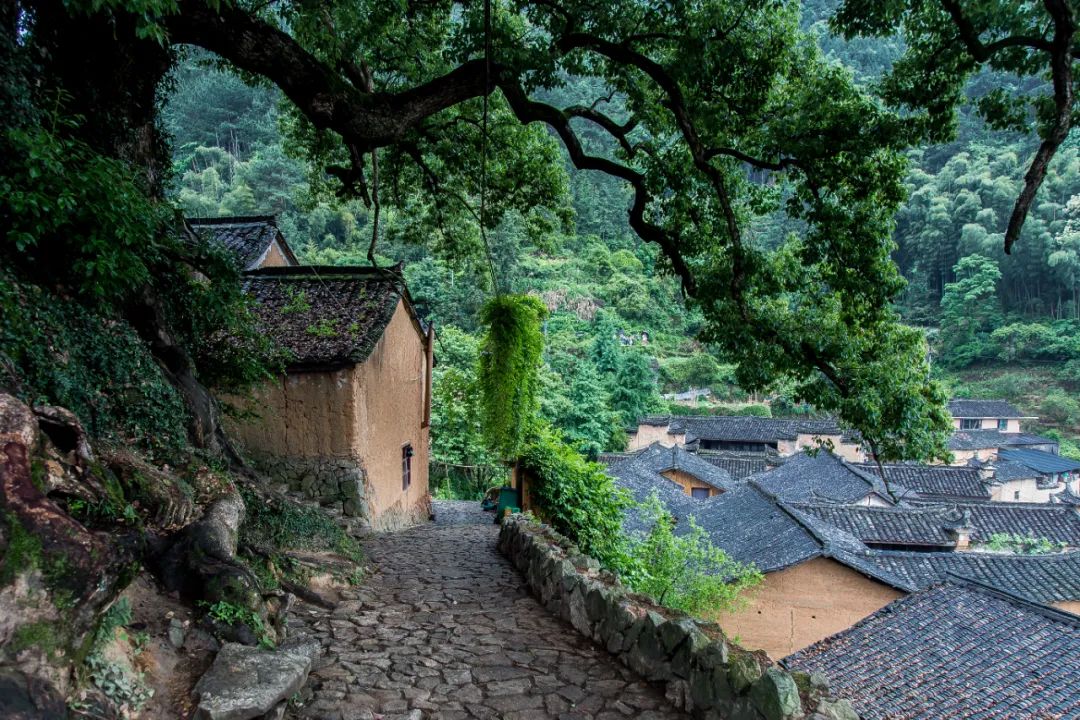 丽水 | 松阳古村落:白云深处有人家