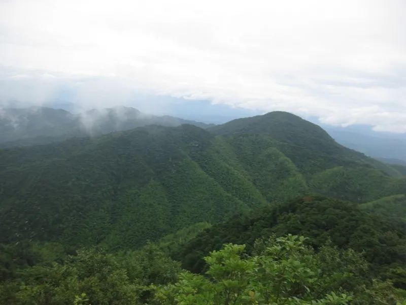 Travel Notes of an Outdoor Expert - Bamboo Sea and Green Lei Mountain
