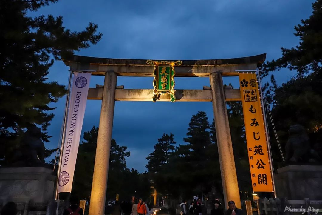 Japanese maple viewing guide | Kitano Tenmao Palace, night maples. Is it the human world?