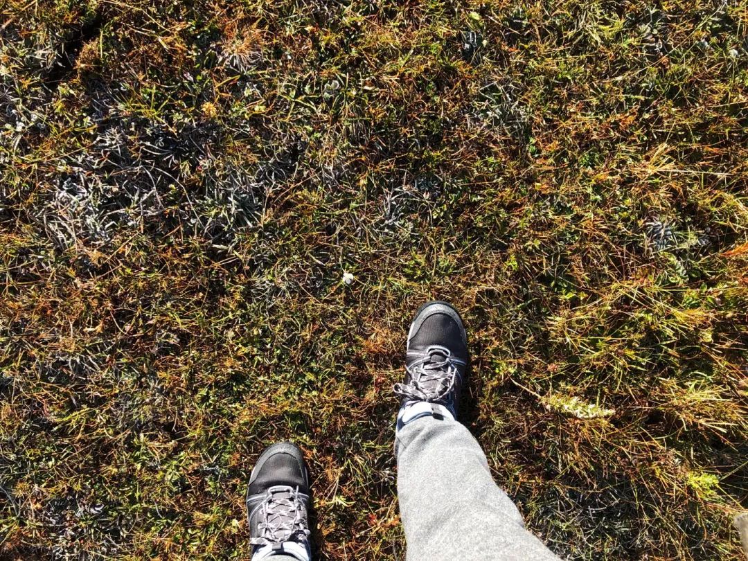 Hiking to the first peak in Lijiang to see Jade Dragon Snow Mountain - Rookie hiking post