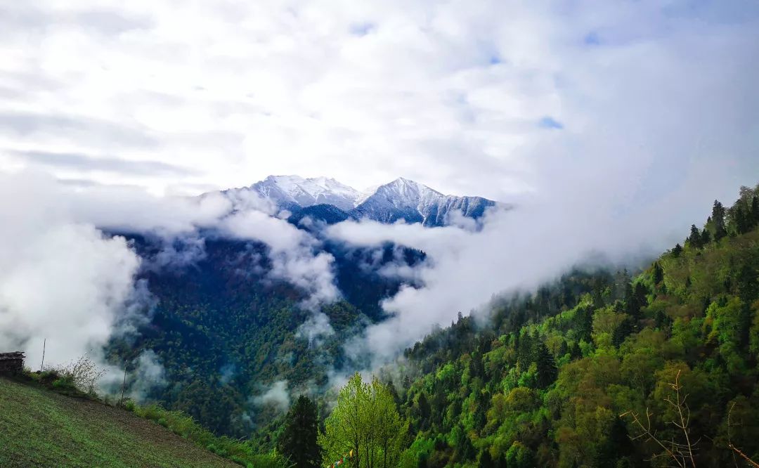 [Second stop on the trip to Western Sichuan] Baguduo